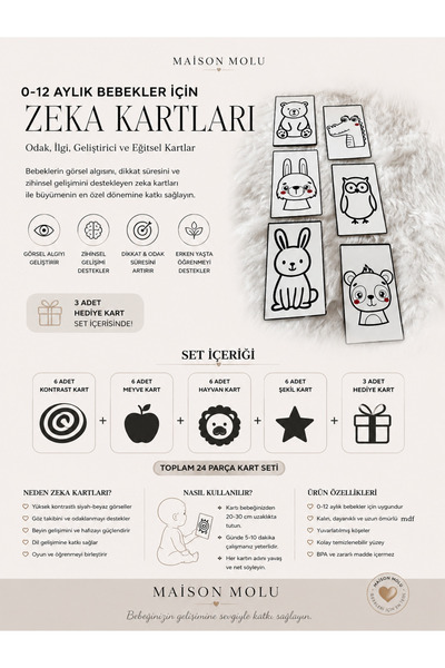 MAİSON MOLU I ZEKA KARTI