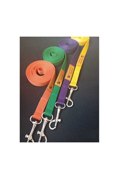 Empressco Colorful Dog Leash Set, 4-Piece, Strong and Stylish Design