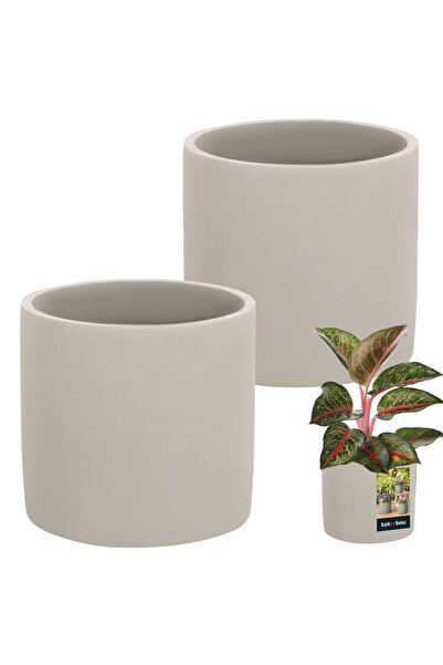 KOTARBAU 2 buc. Ghiveci cilindric 16 cm Ghiveci ceramic Acoperitoare pentru p...