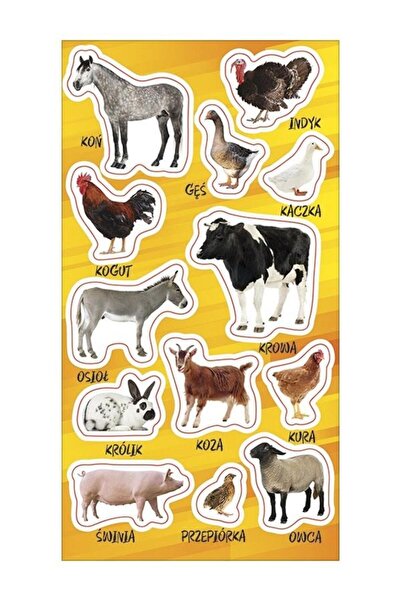 OEM Set stickere cu animale, Ranok-Creative, Multicolor