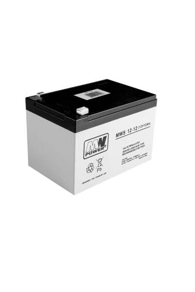 LEAN Baterie AGM Gel pentru mașini electrice pentru copii, 12V-12Ah, 4960