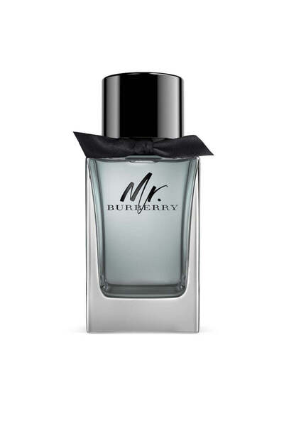 BURBERRY Mr. EDT 100ml