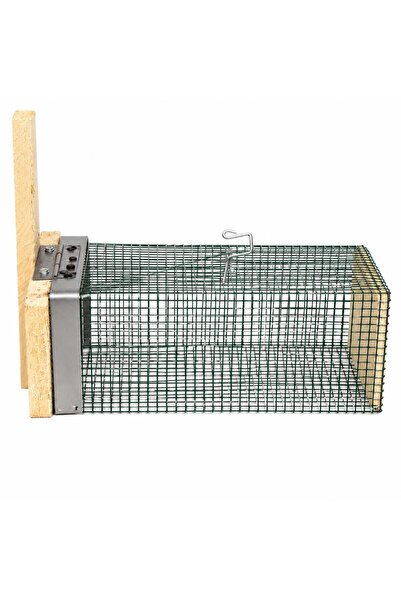 Çelen Fare Kapanı Orta Boy Dışı Telli 12 x 25 x 11 Cm