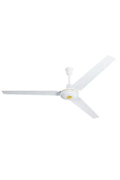 Best Ceiling Fan, with 5-speed regulator, 3 blades, 75W power