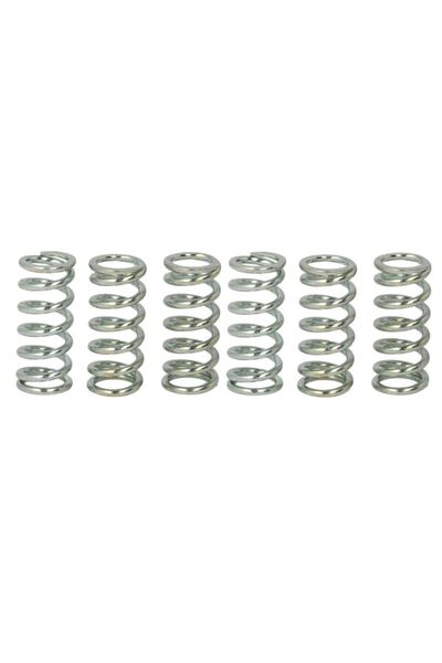 TRW Set Arcuri Ambreiaj (ranforsat) Honda Cb Cm Cmx Cr Ft Vt Xl Xr Suzuki Gs ...