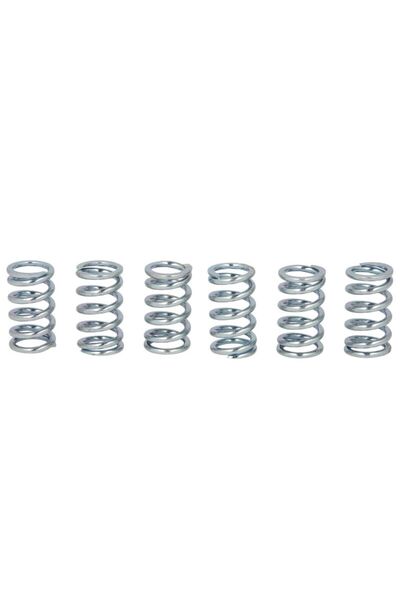 TRW Set Arcuri Ambreiaj (ranforsat) Honda Cr Crf Xr Kawasaki En Gpz Gtr Zl Zr...