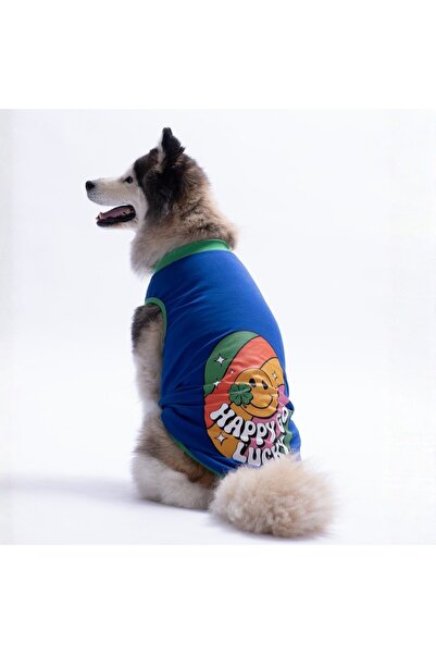 Pawstar Blue Happy Go Large Dog T-Shirt - Dog Apparel (15 Kg-45 kg)