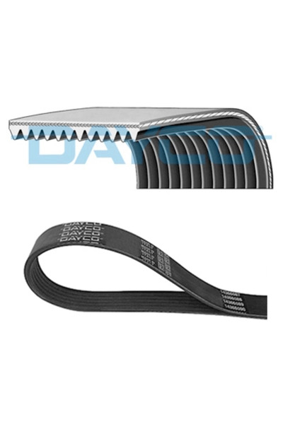 DAYCO Curea Transmisie Cu Caneluri Daf Cf/Xf Iveco Stralis 2 2012-2013