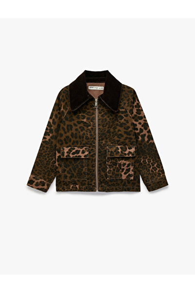 Koton Pamuklu Polo Yaka Leoparlı Oversize Mevsimlik Ceket