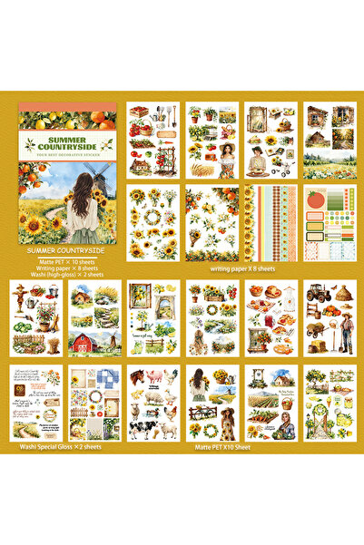 Choice TZ176-1 كتاب ملصقات واشي PET كبير الحجم مقاوم للماء مزدوج المواد بتصمي...