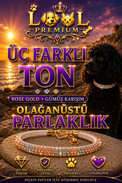 LOOL PREMİUM Rose Gold gümüş köpek kolyesi tasma parlak taşlı köpek kolyesi t...