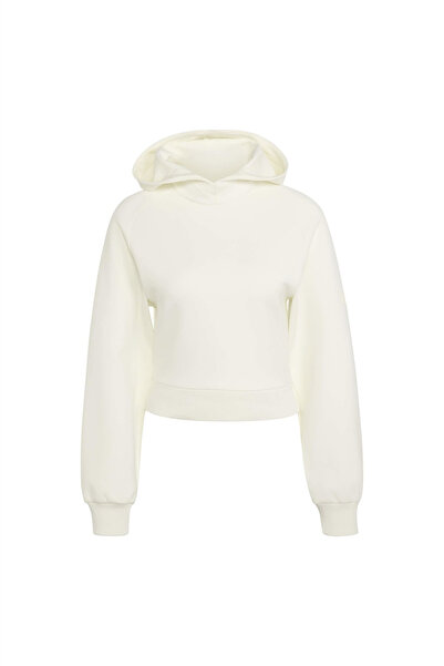 adidas Women's Sweatshirt W Sl Hd Kf4715
