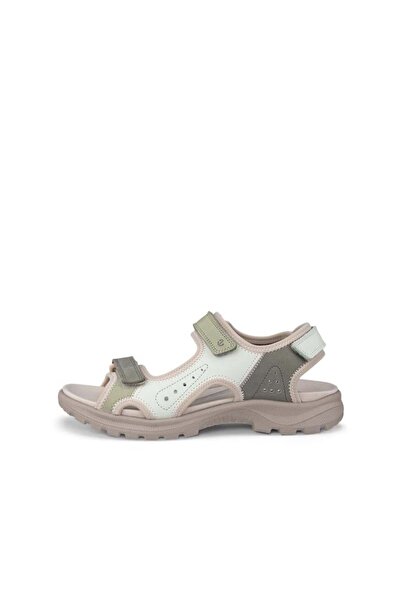 Ecco Onroads