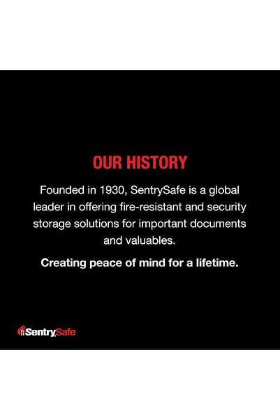 Sentrysafe صندوق صندوقي مقاوم للحريق والماء مع قفل بمفتاح، صندوق سفر أسود مع ...