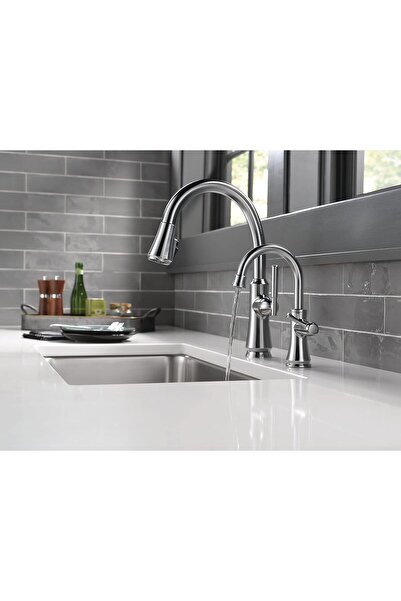 DELTA FAUCET 1920-AR-DST Geleneksel İçecek Musluğu, Arctic Paslanmaz
