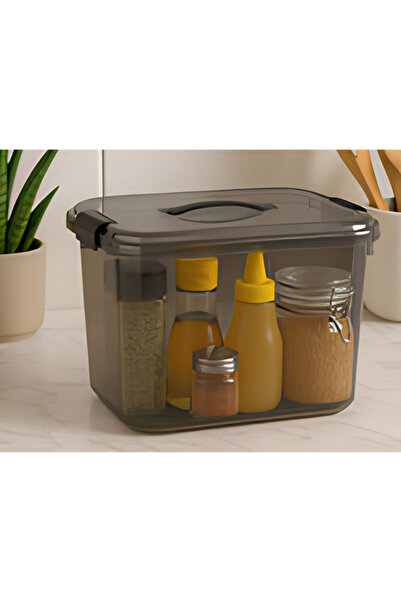 varioshop ® Plastic Storage Container, for household use, with lid, handle an...