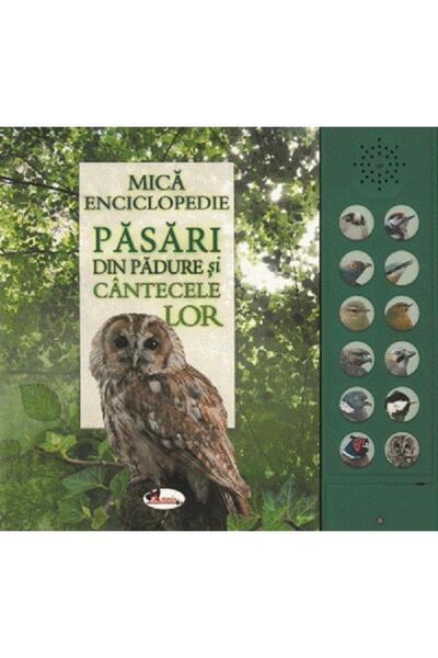 Aramis Mica enciclopedie: Pasari din padure si cantecele lor