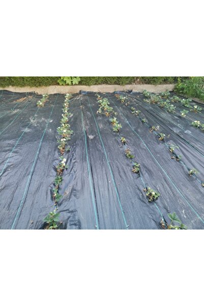 NO BRAND Covor anti-buruieni agro-textil de cea mai bună calitate 1,6x50m UV3...