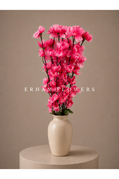 ERHAN FLOWERS PEMBE BAHAR DALI 7 Lİ (SAKSISIZ)