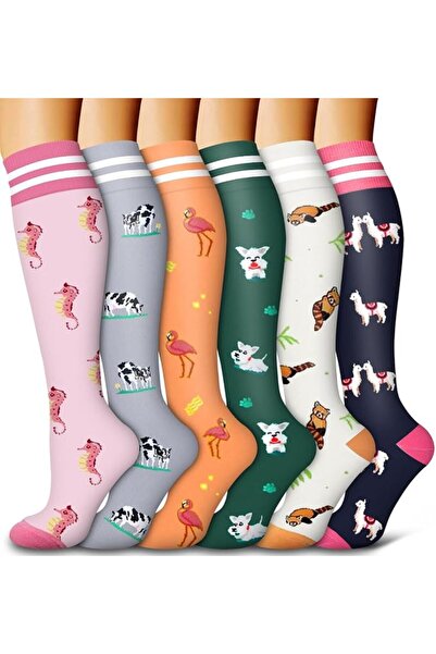 Bluemaple 4 Pack Leggings for Women Butt Lift High Waisted Tummy Control No S...