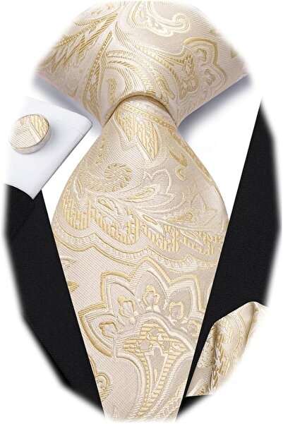 Dubulle Mens Paisely Silk Tie for Men Necktie and Pocket Square Set