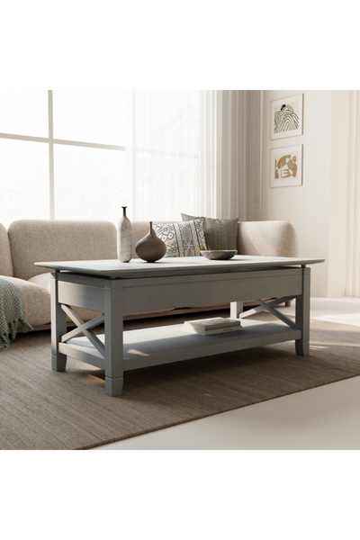 Baytonia Gino Lift Top Coffee Table with Interior Storage - Gray