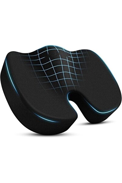GENERAL Lumbar Support Cushion for Office Chair and Car Seat | Memory Foam Ba...