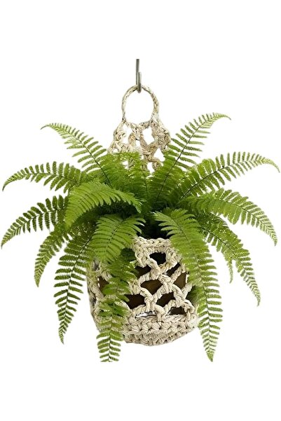 Generic Wall Plant Hanger Cotton Rope Woven Macrame Space Saving | Indoor Flo...