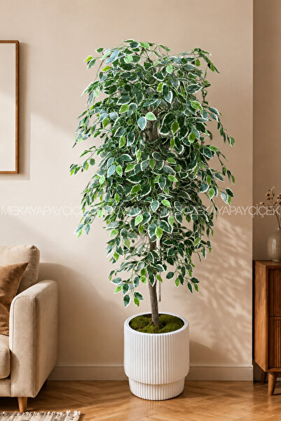 Meka Yapay Çiçek Benjamin Yapay Ağaç (Starlight) 180 CM Vega Saksı