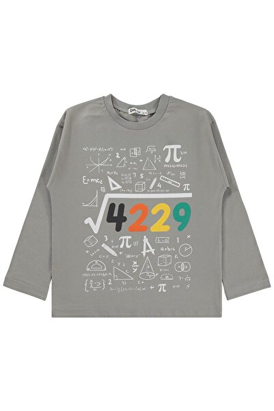 Civil Boys 4489 Printed Sweatshirt for Ages 6-9 - Gray