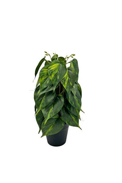 B&D Artificial Plant – Decorative Faux Greenery for Home, Office & Interior D...