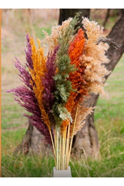 TROYA Dekoratif Pampas 15 Karışık 100 Cm
