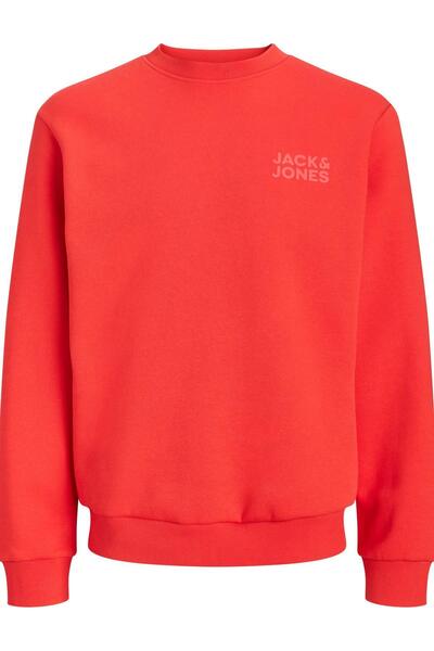 Jack & Jones JORLOGO Hanorac pentru bărbați cu logo și decolteu tip crew, con...