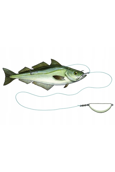 NO BRAND WESTIN HALIBUT ANTI TWIST HAKE BAIT SET - PINK FLASH 350g