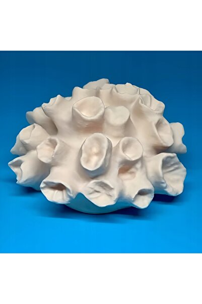 NO BRAND RAFA CORAL ORNAMENTAL ALB PENTRU ACVARIU ȘI TERARIU, DECOR PENTRU CASĂ