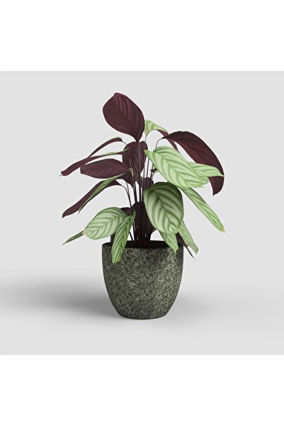 NO BRAND ghiveci verde din ceramică HESTIA 25/22, frumos decorat, realizat ma...