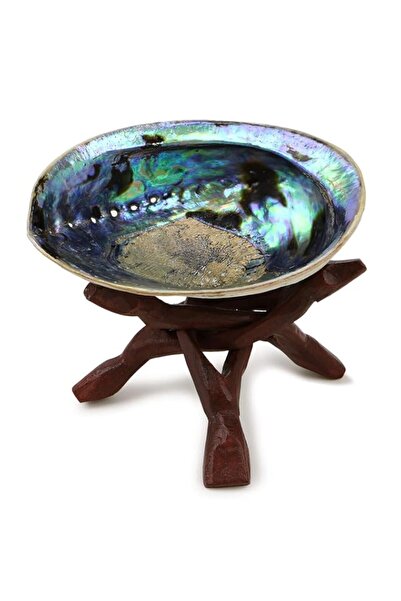 Generic Brand Ocean Shell Studios 5-6 inches Premium Natural Abalone (Pāua) S...