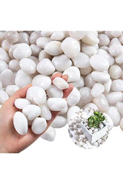 Generic 2.5 lbs Polished White River Rocks (3–7 cm) | Large Smooth Natural De...