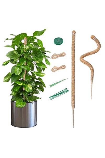 Generic Mcbazel 2 Pack 70CM Moss Pole for Plant Monstera, Plant Support Stick...
