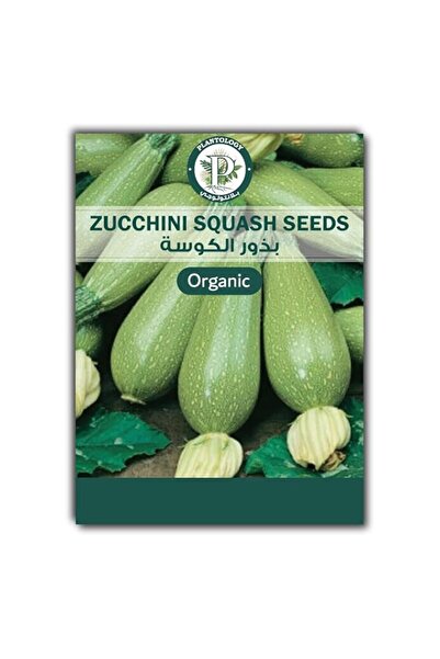 Generic Zucchini Squash Seeds for Planting – Zucchini Vegetable Seeds – High ...