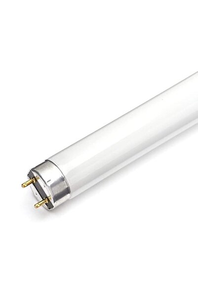 Generic Osram Fluorescent Lamp L 18 Watt 830 - 18 W Warm White [Energy Class G]