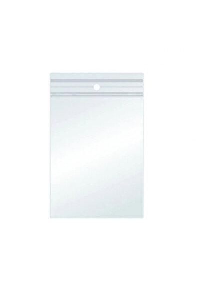 MC Micostore Σακούλες Ziplock 40x60mm 100 τεμάχια/σετ