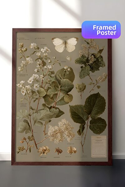 Zestia Pictură murală vintage, plante botanice și fluturi, înrămate maro Nr.:...