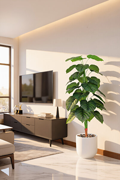 MARIA HOMES 165 cm Artificial Heart Leaf Plant in Fiber Pot for Home & Office...