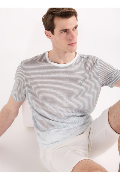 Fabrika Gri Erkek Relaxed Çizgili T-Shirt F6SM-TST 2070