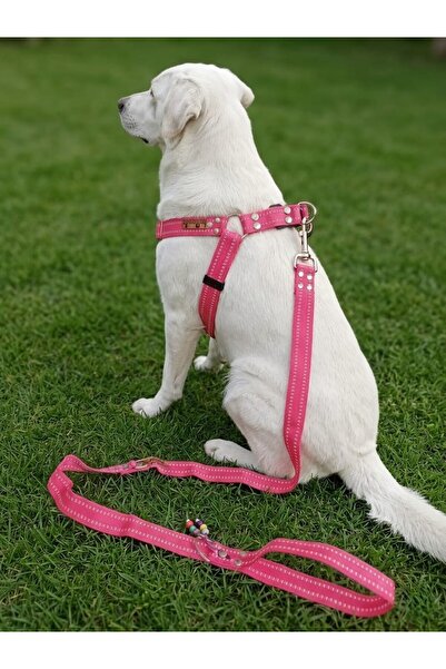 balkonda Köpek Göğüs Tasması Ayarlanabilir ve Gezdirme Kayışı 2'li Set Küçük ...