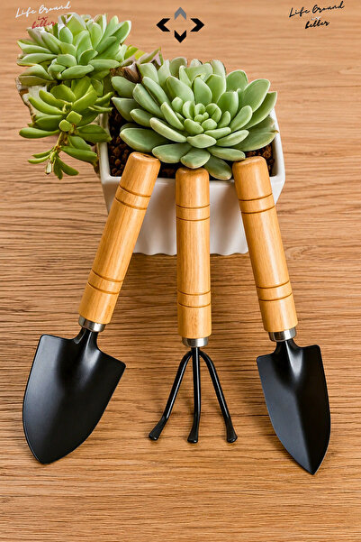 3-Piece Mini Garden Camping Set Paddle Rake Anchor Hand Tools Flower Pot, Balcony and Flower Planting Garden Supplies