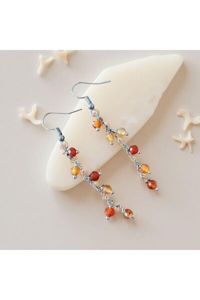 Home Carneol Agate Stone Long Steel Earrings