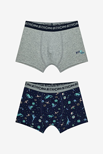 Penti Erkek Çocuk Astro Dino Çok Renkli 2li Boxer
