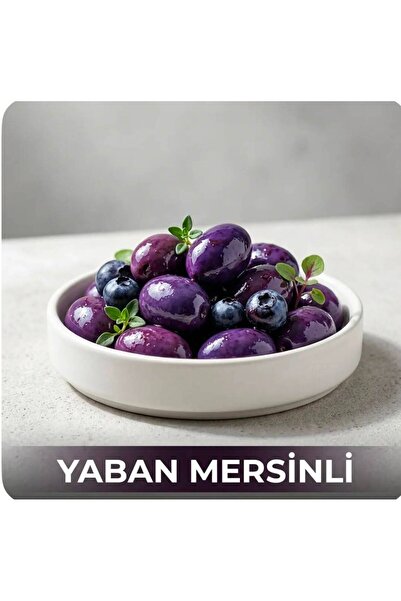 zeytin diyarı meşhur zeytinci Zeytin diyarı